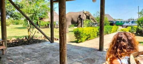 a woman is looking at an elephant in a zoo at Engiri Game Lodge and Campsite in Katunguru