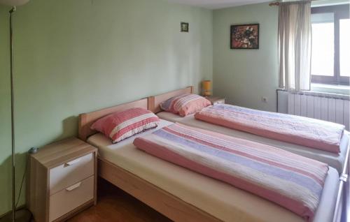 two beds sitting next to each other in a bedroom at Amazing Home In Velika Mlaka With Wifi in Velika Mlaka