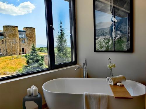 Fotografie z fotogalerie ubytování Chateau Copsa Complex v destinaci Moskovets