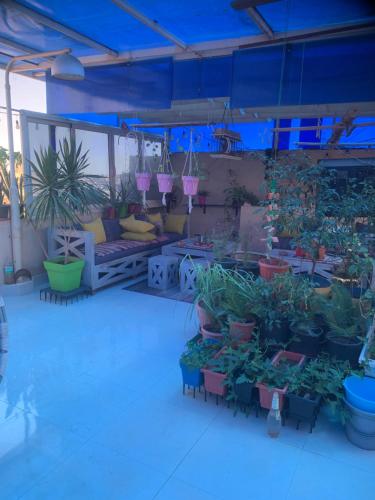 a patio with potted plants and a bench in a room at Paris st in Ismailia