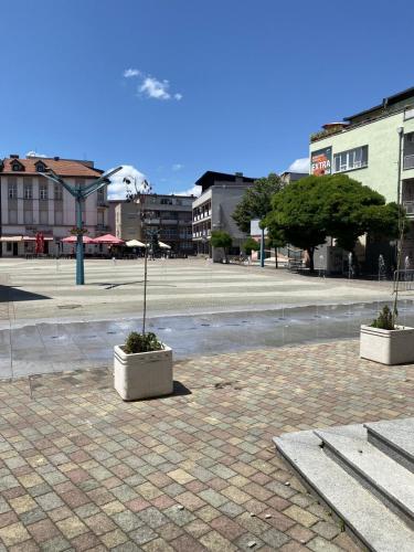 a courtyard with two potted plants on a street at Apartments & Rooms Fountain in Bihać