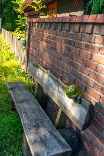a frog sitting on a wooden bench next to a brick wall at Agroturystyka Hanka i Jurek in Boruja
