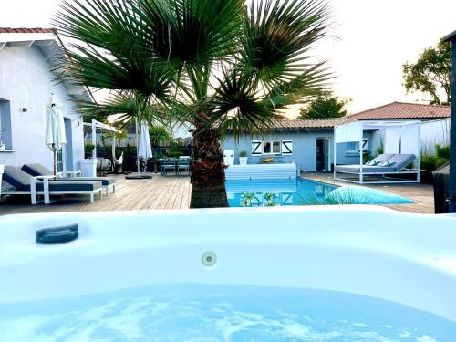 a palm tree in front of a house with a pool at L'Echappée in Saint-Jean-dʼIllac