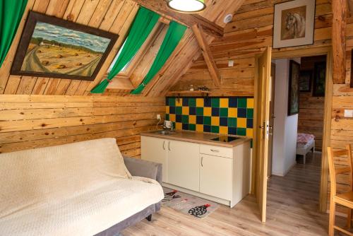 a bedroom in a log cabin with a bed and a desk at Agroturystyka Hanka i Jurek in Boruja