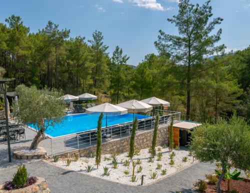 an image of a pool with umbrellas and trees at Soul Of Olympos Boutique Hotel in Olympos