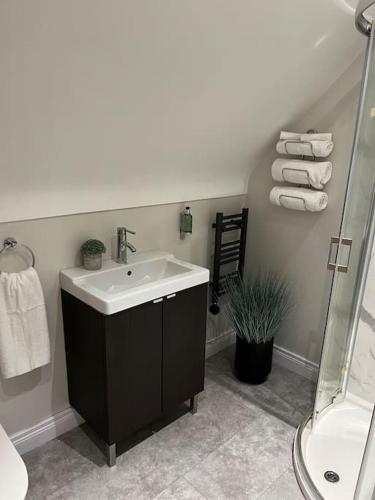 a bathroom with a sink and a shower at Sarsa Cottage Ballynahinch in Ballynahinch