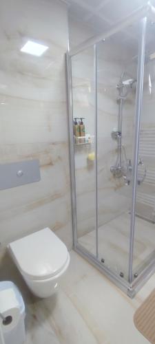 a white bathroom with a shower and a toilet at Akkayalar Aerie House in Çepni