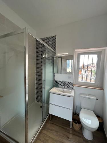 une salle de bain avec une douche, des toilettes et un lavabo dans l'établissement Le Miquel-Appartement Béziers Centre, à Béziers