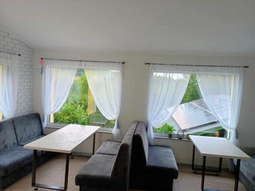 a living room with a couch and two windows at W zieleni in Polanica-Zdrój