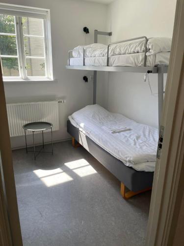 a room with two bunk beds and a table at Faaborg Vandrerhjem in Fåborg