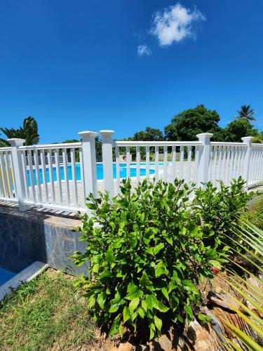 a white fence with a bush next to a pool at Bella Villa room with large pool and close to beach in Las Galeras