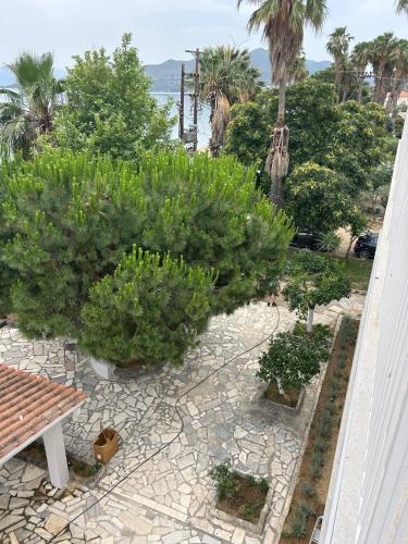 a garden with trees and plants on a patio at Evia Bay Suites and Retreats in Edipsos
