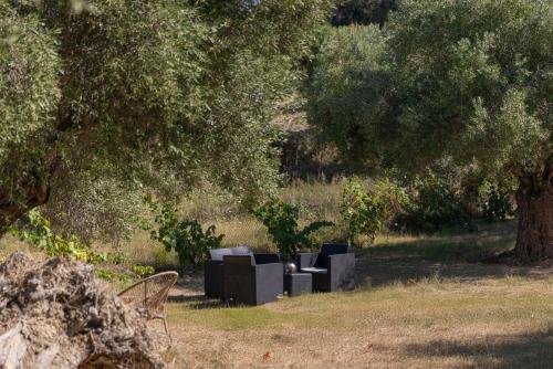 a table and chairs in a park under a tree at Valery Apartments in Pefkohori