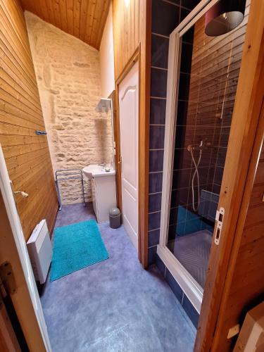 La petite salle de bains est pourvue d'une douche et d'un lavabo. dans l'établissement La Ferme du Marais Poitevin - Chambre d'hôtes, à Benet
