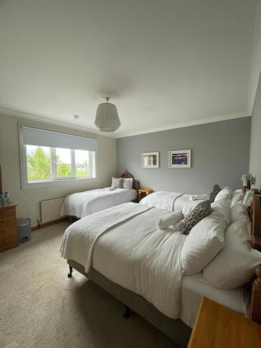 a bedroom with two beds and a window at Ardawn House in Galway