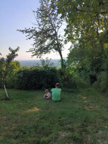 a man and a child sitting in the grass at Hotel Cider&Squash, Grncarska 8, Prnjavor in Batočina