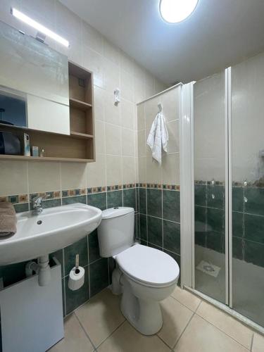 une salle de bain avec toilettes, douche et lavabo dans l'établissement Les Tilleuls de Chapareillan, à Chapareillan