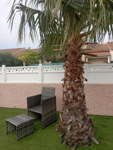 un palmier avec deux chaises et un banc dans l'établissement Chambre Simple & Spa & Piscine & plage, à Valras-Plage