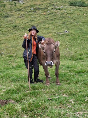 アパートメントの敷地内または近くにいる動物