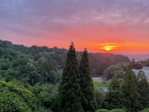 a sunset over a forest with two large trees at 桃の木別荘　Momonoki Villa in Hita