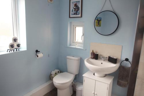 a bathroom with a white toilet and a sink at Lingfield Lodge Ewenique Views pets welcome in Welbury