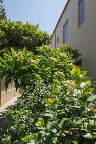 Foto Casa in giardino 6