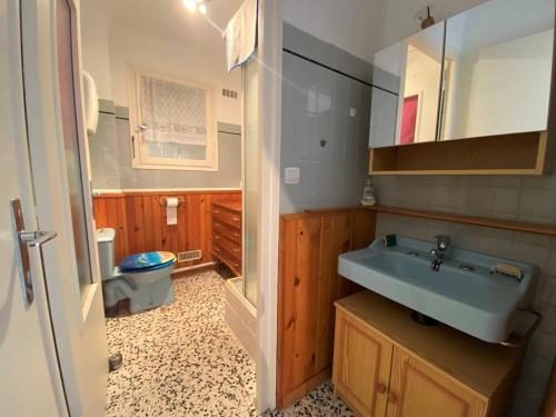 une salle de bain avec un lavabo bleu et des toilettes dans l'établissement Appartement 2 pièces - 4 couchages - Argeles Sur Mer AR860-B27, à Argelès-sur-Mer