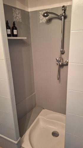 une salle de bain avec douche et toilettes dans l'établissement Mazet au calme avec terrasse, à Nîmes