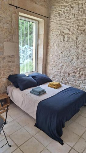 Cette chambre dispose d'une fenêtre et d'un grand lit avec des oreillers bleus. dans l'établissement Mazet au calme avec terrasse, à Nîmes