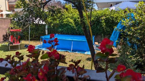 a backyard with a blue trampoline in the yard at Villa della Tartaruga in Casal Palocco