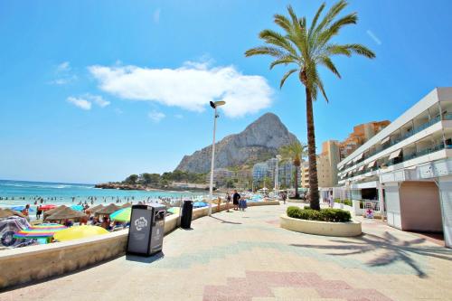plaża z palmą i górą w tle w obiekcie Xavier - oceanfront apartment with sea views in Calpe w mieście Calpe