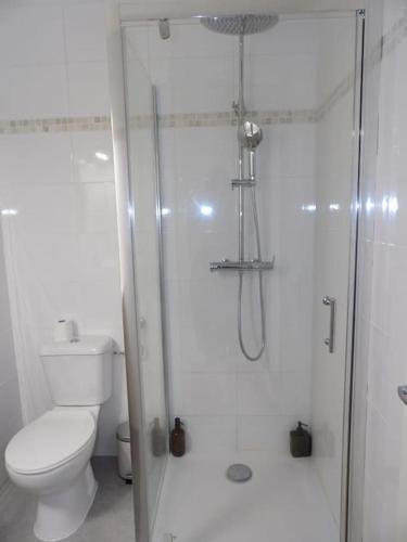 une salle de bain blanche avec douche et toilettes dans l'établissement Cosy House au coeur des Landes, à Villeneuve-de-Marsan
