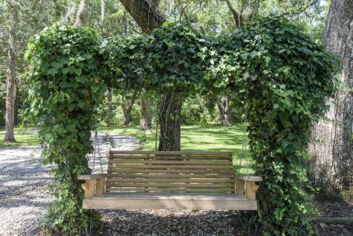 un banc en bois sous une arche recouverte de lierre dans l'établissement Birdsong Cottage, à Freeport