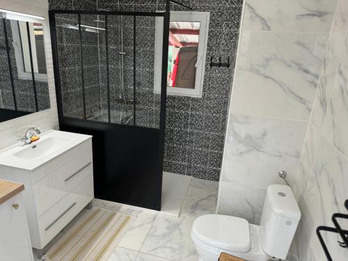 a bathroom with a toilet and a shower and a sink at Maison 4 personnes avec piscine in Bourriot-Bergonce