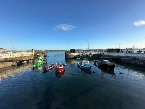 a group of boats are docked in a harbor at Westways House in Cobh