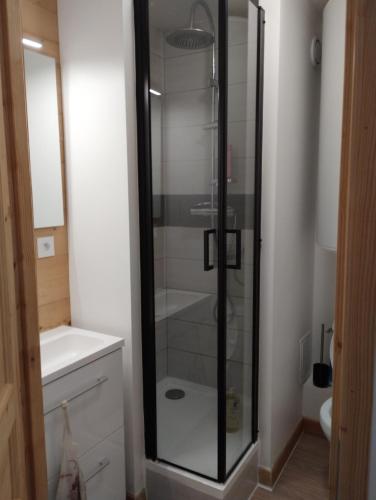 une douche en verre dans une salle de bain avec un lavabo dans l'établissement Appartement cosy val louron au pied des pistes, à Val Louron