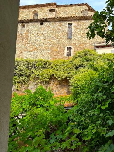 un vieux bâtiment en brique avec du lierre sur lui dans l'établissement BEST location in Cannes! Just renovated!, à Cannes