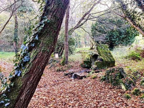 a path in the woods with a tree and leaves at Gite Villa Morgane - A 250 m de la plage de Pentrez in Saint-Nic