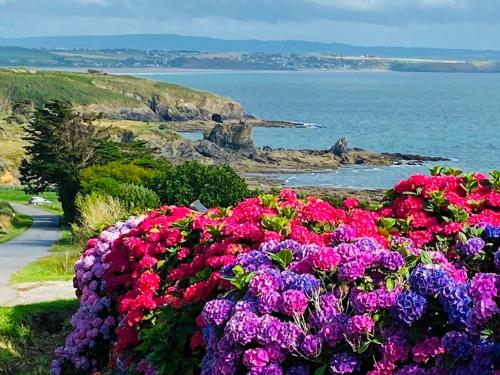a bunch of pink and purple flowers next to the ocean at Gite Villa Morgane - A 250 m de la plage de Pentrez in Saint-Nic