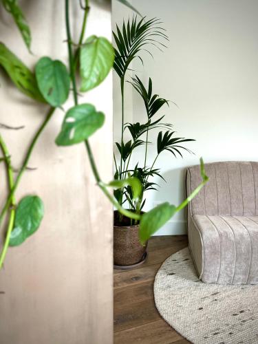 a living room with a couch and some plants at De Wilden Ezel in Mol