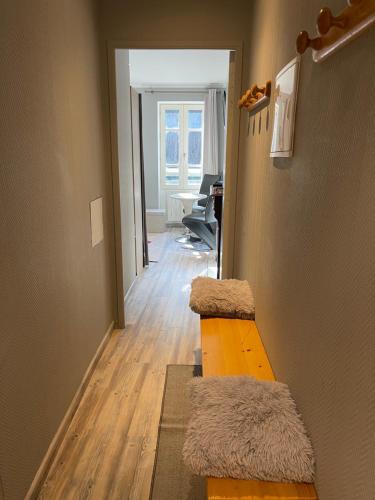 une pièce avec un couloir avec un escalier avec de la fourrure dans l'établissement la montagnette T2 MAISON EN TRAVAUX DE 10H A 17H, à Moutiers