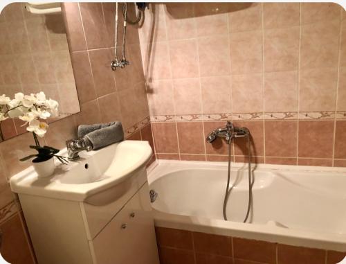 Sunny Buda Apartment