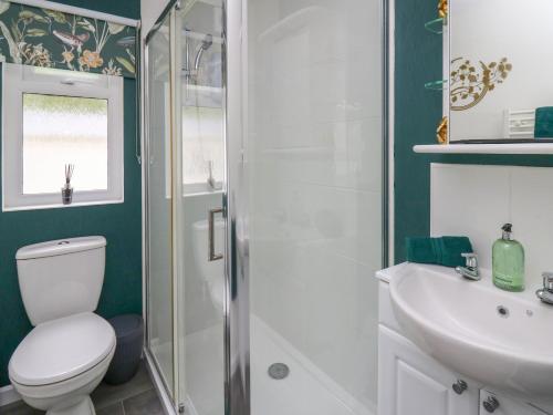 Un baño con ducha, inodoro y lavabo. en The Dragonfly, en New Quay