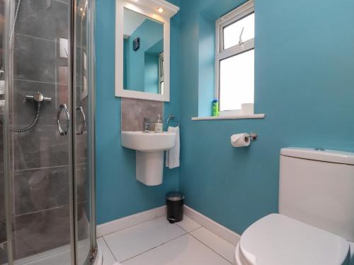 a bathroom with a toilet and a sink and a shower at The Bullseye in Stonehouse