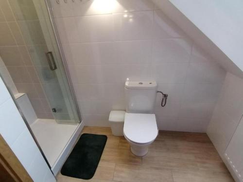 a small bathroom with a toilet and a shower at Agroturystyka Nocleg na Górce in Łajsy