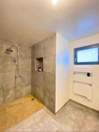 La salle de bains est pourvue d'une douche et d'une fenêtre. dans l'établissement Joli logement de campagne, à Contamine-sur-Arve