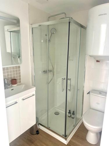 La salle de bains est pourvue d'une douche en verre et de toilettes. dans l'établissement Suite Ar Menez Du, à Châteauneuf-du-Faou