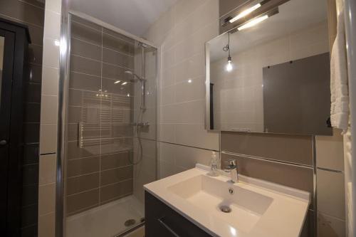une salle de bain avec un lavabo, une douche et un miroir dans l'établissement Le Mail à Rennes, à Rennes