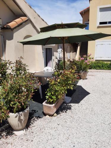 a group of potted plants and a green umbrella at Appartement Meublé bord de mer FOS SUR MER in Fos-sur-Mer