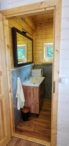 a bathroom with a sink in a wooden cabin at FreeDom House in Dolina